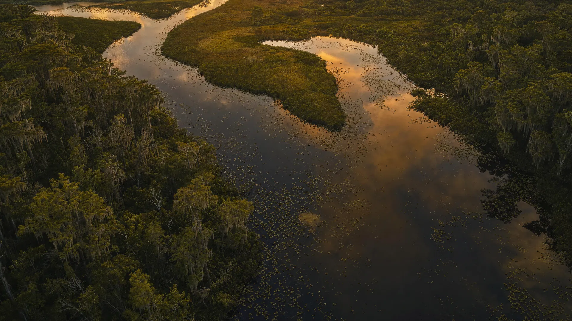 Aerial view of winding water framed by lush greenery at sunset